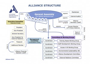 The structure of the Alliance in 2015